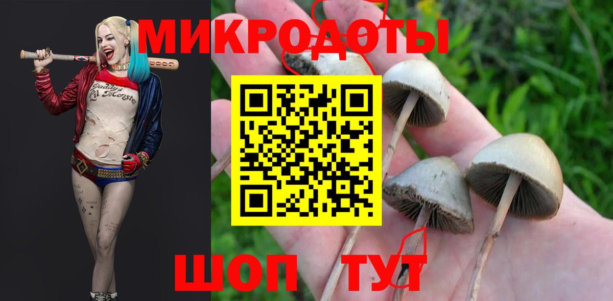 Галлюциногенные грибы мицелий  Вход с VPN  Чебаркуль  Псилоцибиновые грибы MAGIC MUSHROOMS 